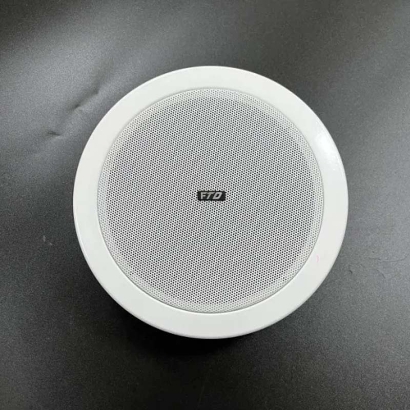 Hình thực tế mặt trước loa âm trần FTD FCS-406