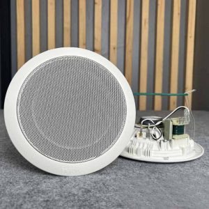 Loa âm trần TOA PC-668R